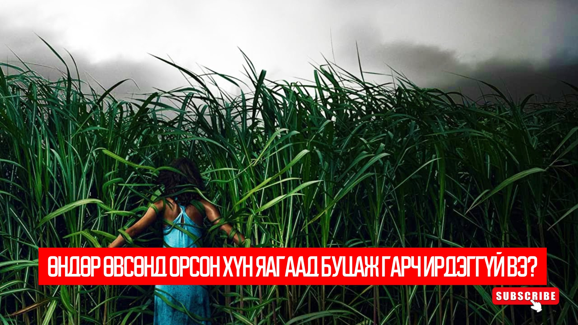 In the Tall Grass (2019)